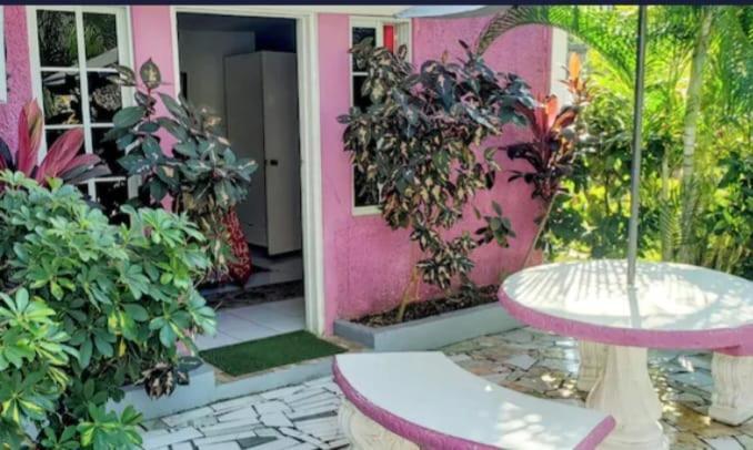 Pink Hibiscus Bed And Breakfast Montego Bay Ngoại thất bức ảnh