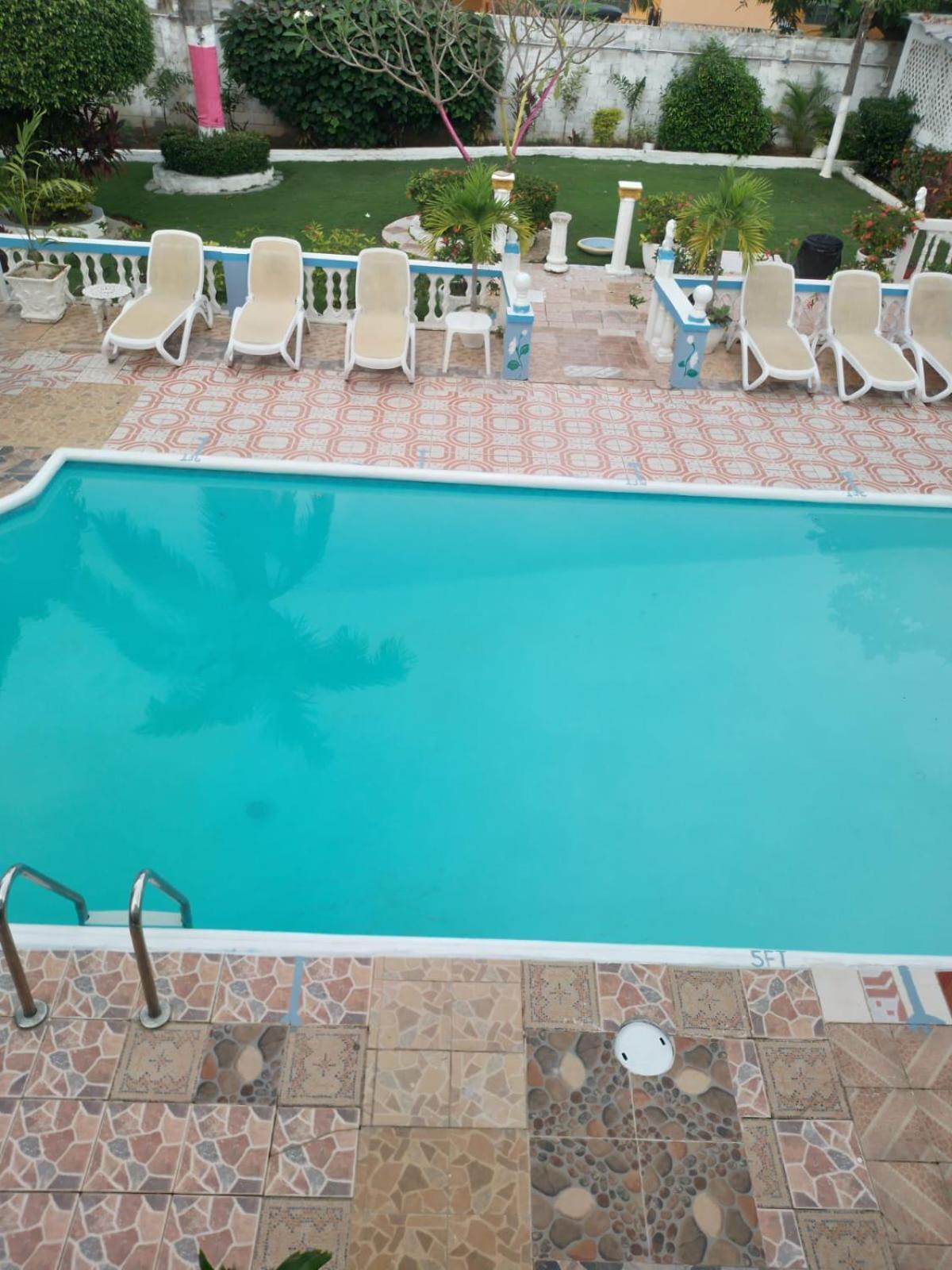 Pink Hibiscus Bed And Breakfast Montego Bay Ngoại thất bức ảnh