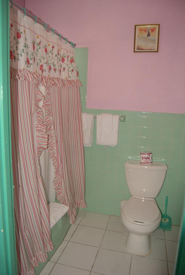 Pink Hibiscus Bed And Breakfast Montego Bay Ngoại thất bức ảnh
