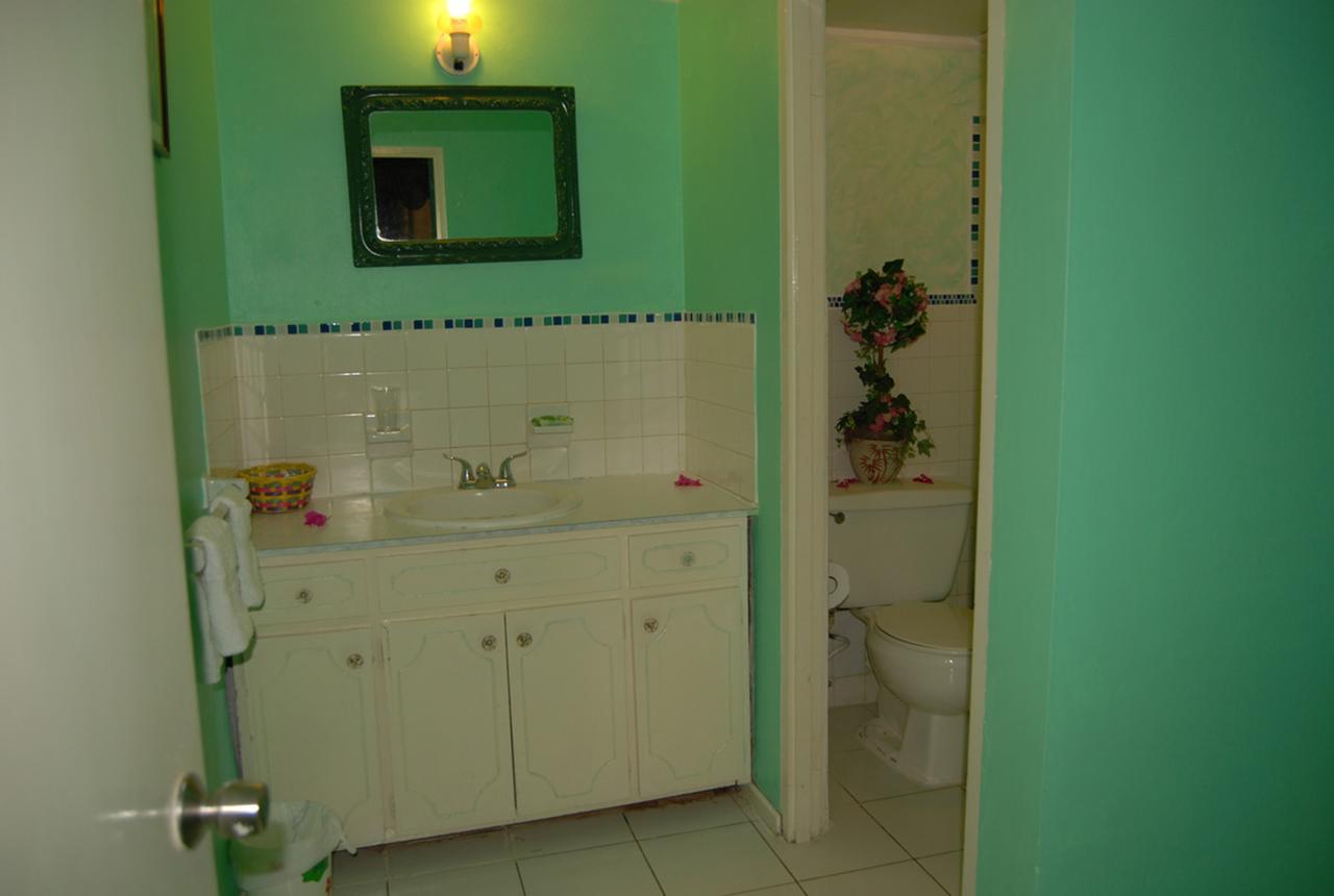 Pink Hibiscus Bed And Breakfast Montego Bay Ngoại thất bức ảnh